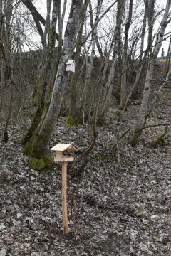 Gnezdilnice Radulja 2